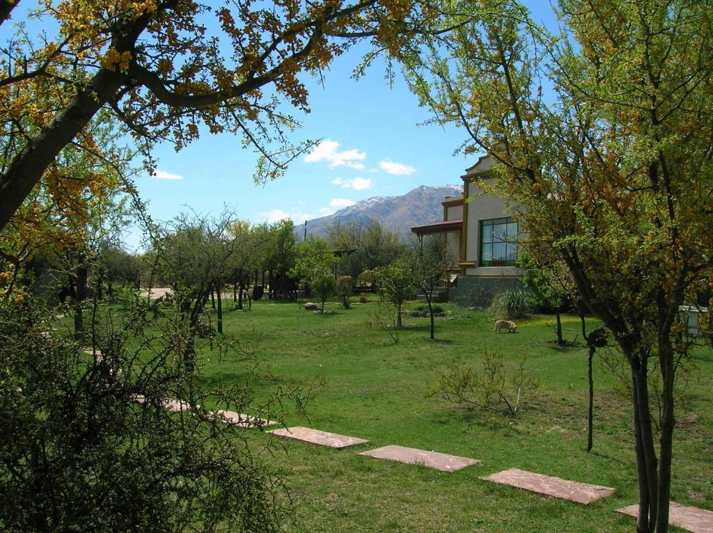 Antiguos-adults Only Merlo