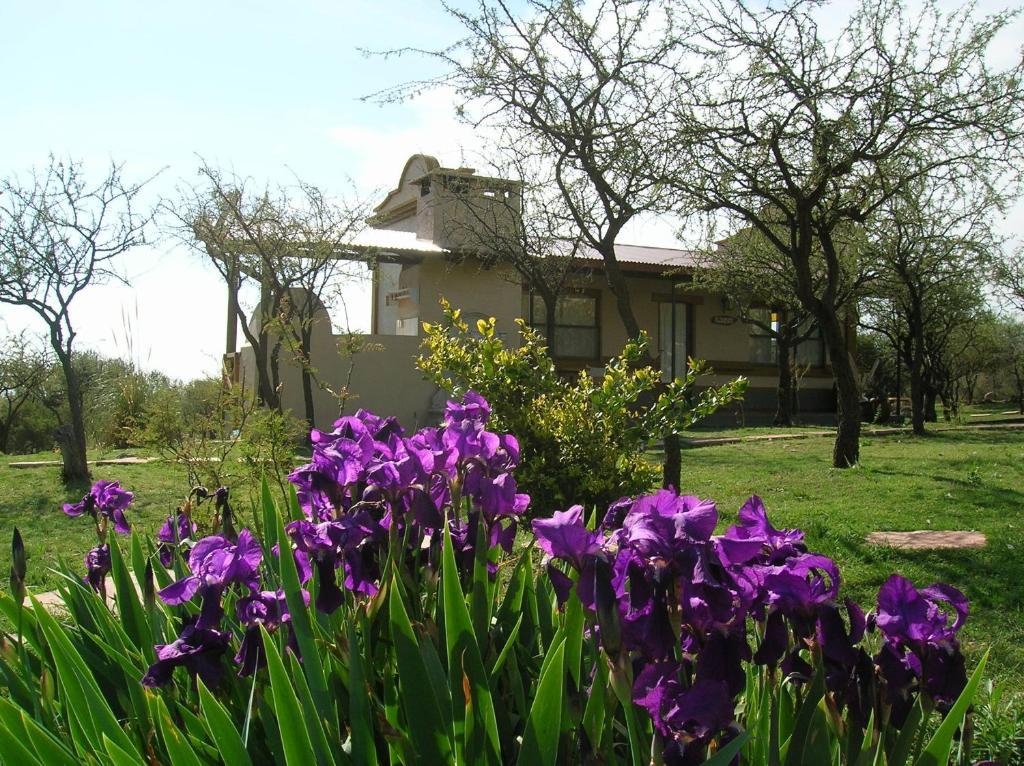 Inn Antiguos-adults Only *