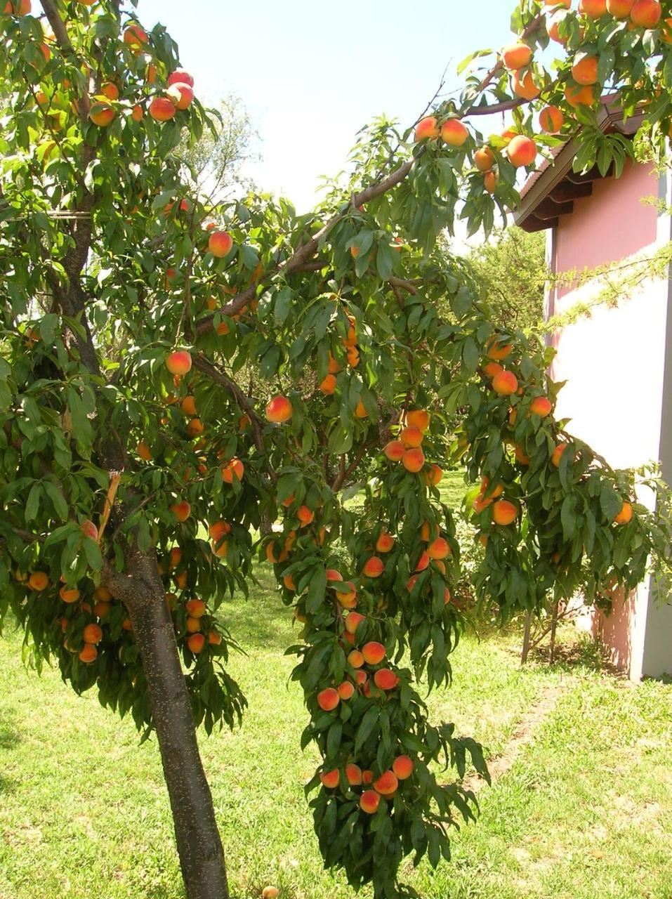 Antiguos-adults Only Inn *
