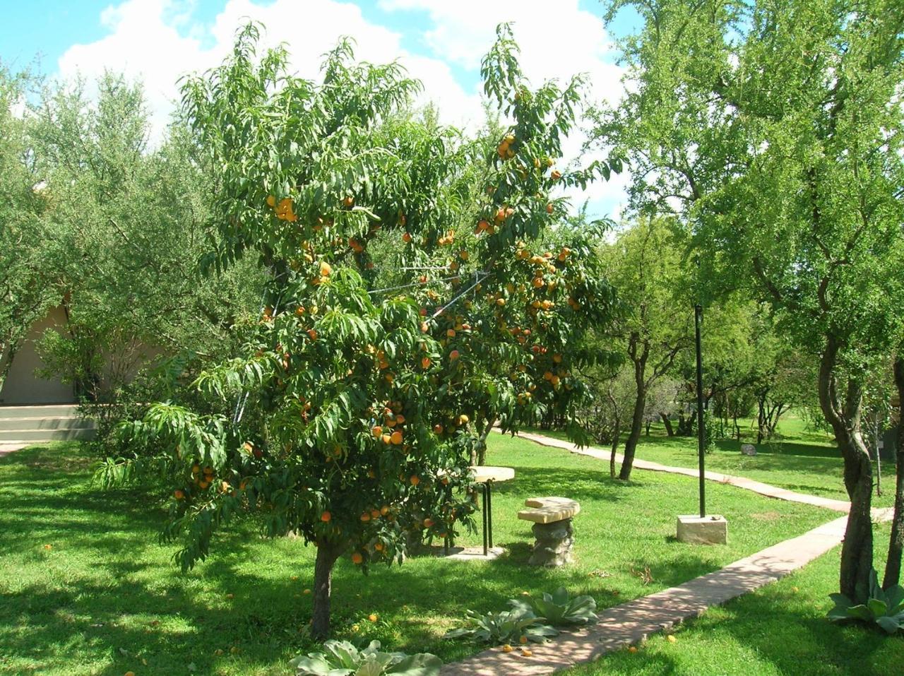 Antiguos-adults Only Merlo